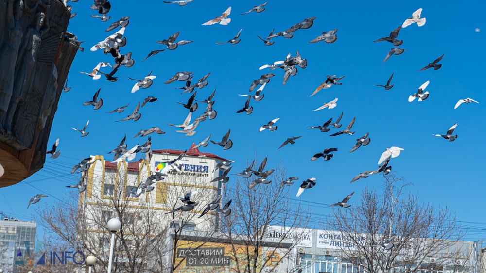 Благовещение, Благовещение Пресвятой Богородицы, православный праздник, традиции в Благовещение