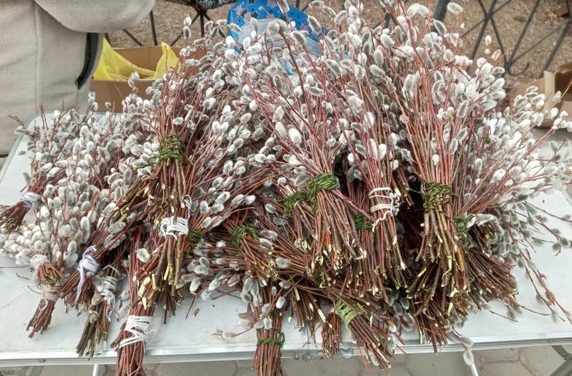 Фото: Амур.инфо