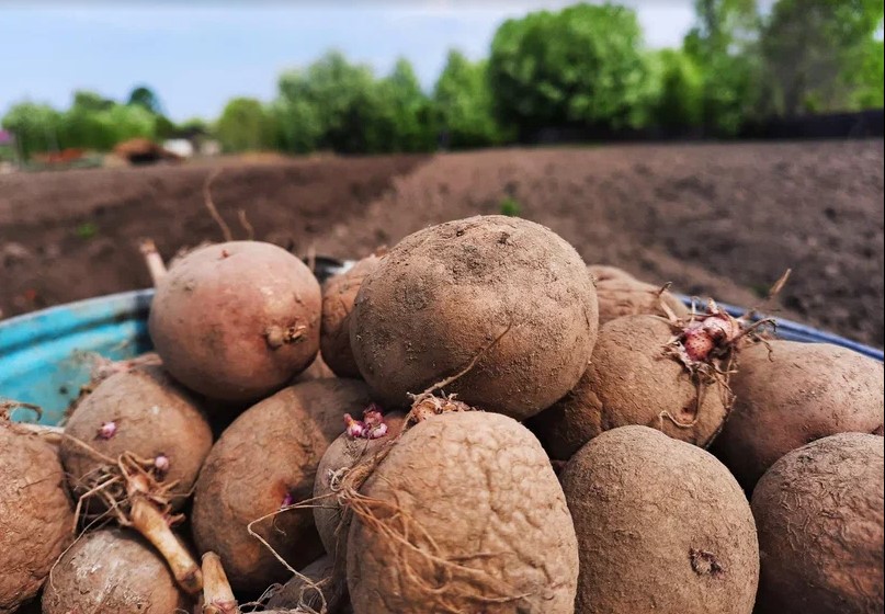 Фото: Амур.инфо