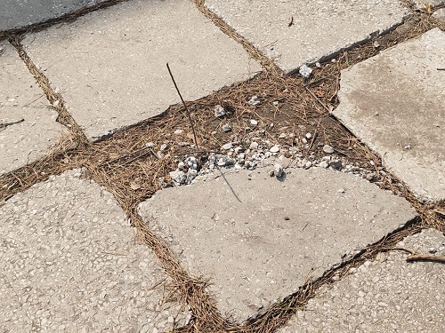 «Как помойка»: благовещенку возмутил вид Дома молодежи