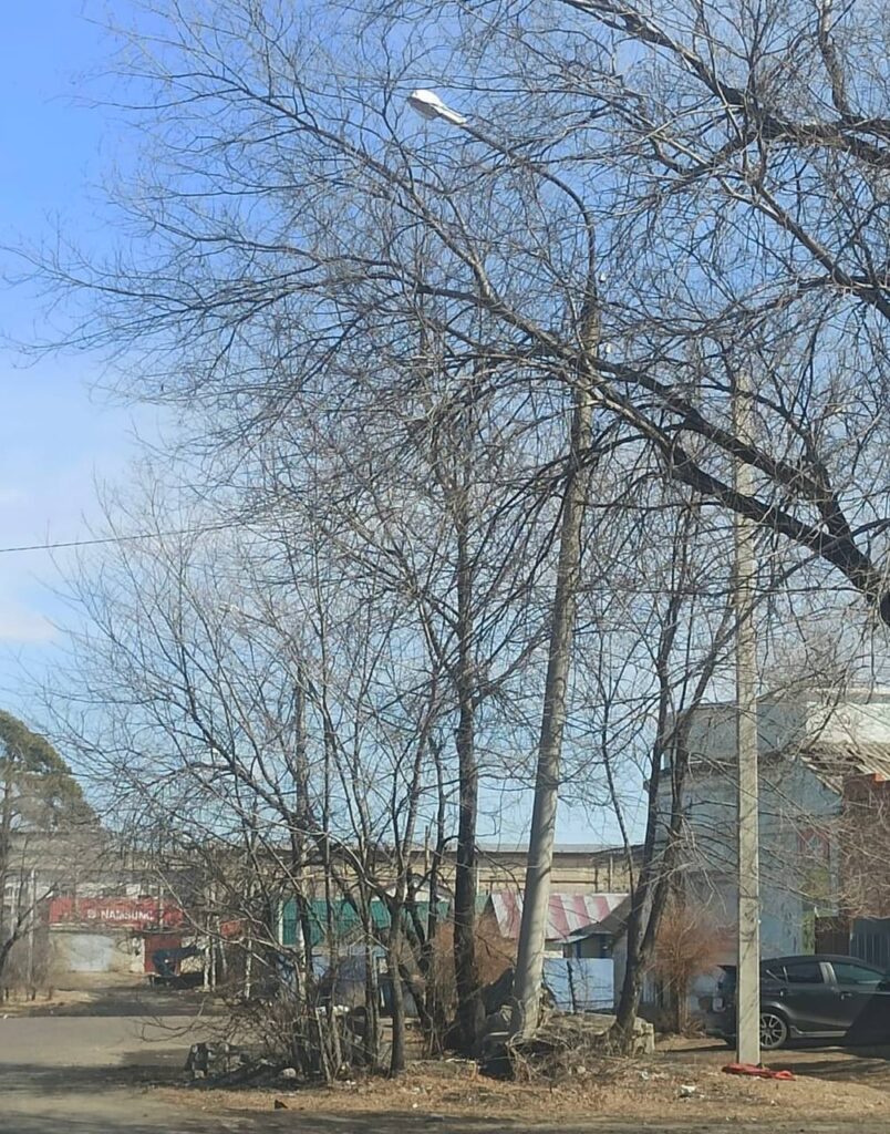 Фото: телеграм-канал Станислава Мелюкова