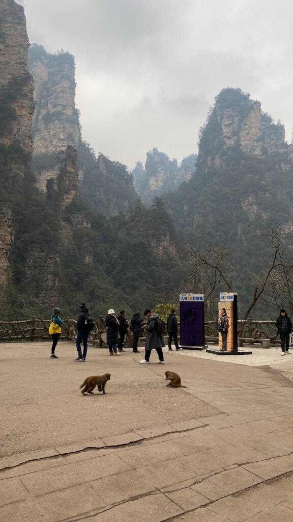 Как амурчанки покоряли парящие горы