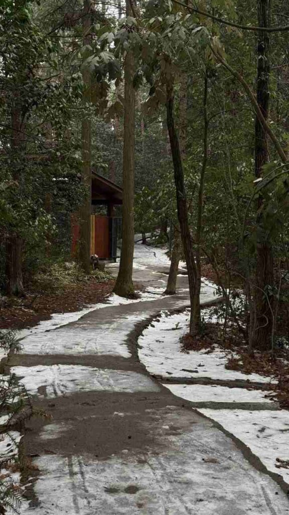 Как амурчанки покоряли парящие горы