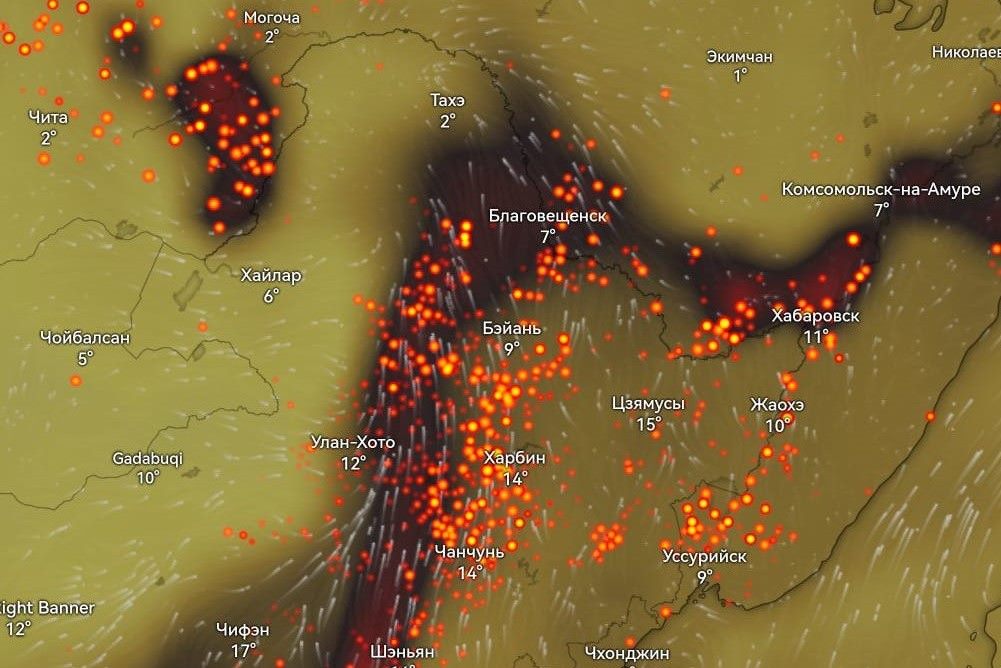 Фото: Амурский центр ГЗ и ПБ