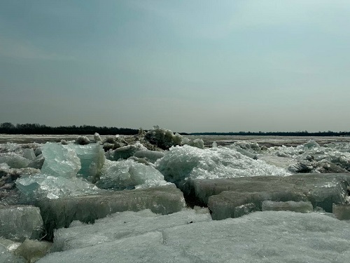 Очевидцы: река Зея проснулась