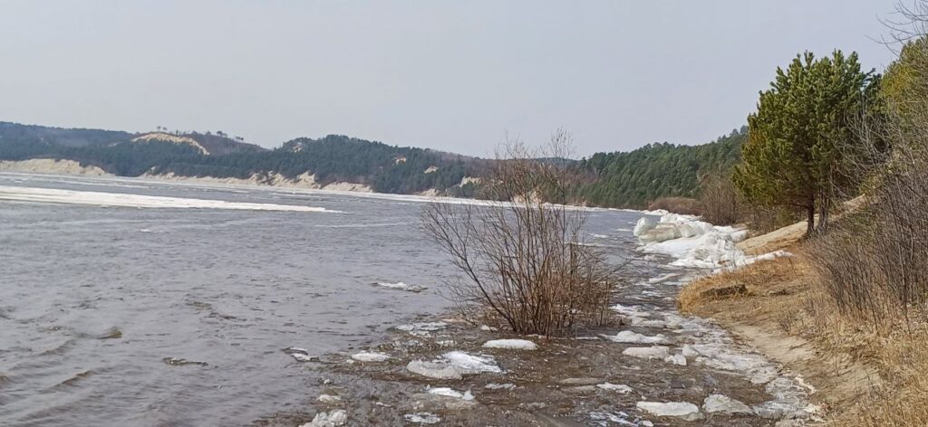 Очевидцы: река Зея проснулась