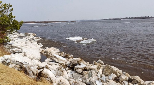 Очевидцы: река Зея проснулась