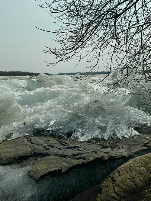 Очевидцы: река Зея проснулась