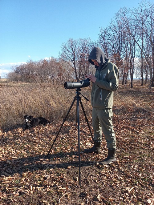 «Успевай объектив поворачивать»: птицы Приамурья удивили москвичей