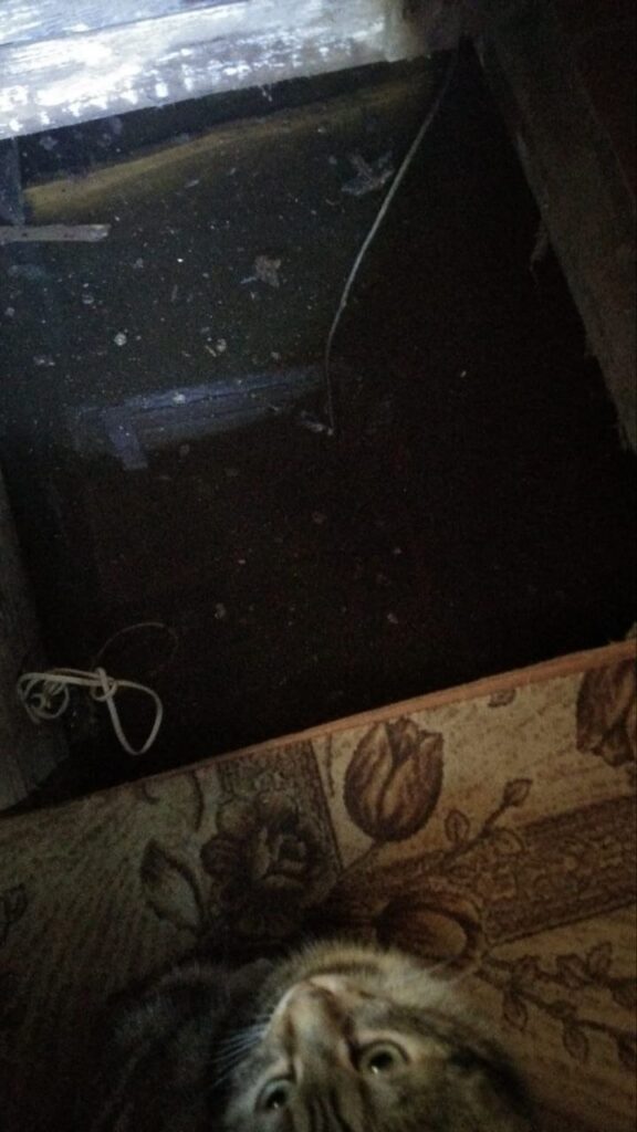 Паводок в Шимановске