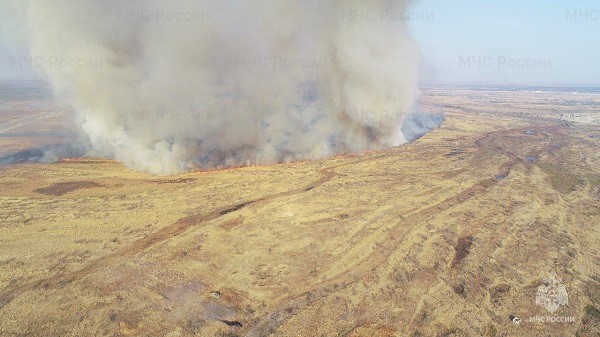 Область горит: амурские огнеборцы рассказали о палах и лесных пожарах