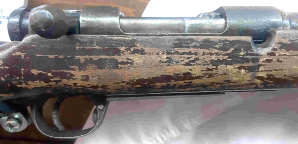 Фото: Амур.инфо