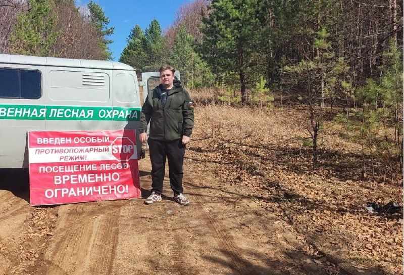 пожары