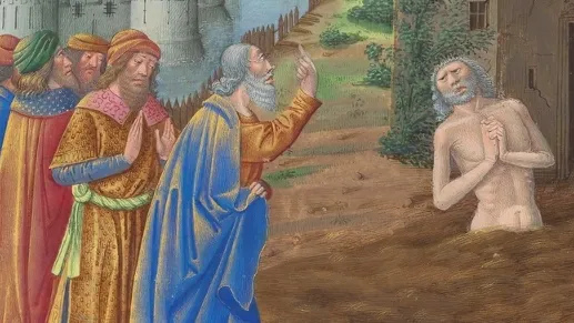 Иов Горошник, Иов Многострадальный 