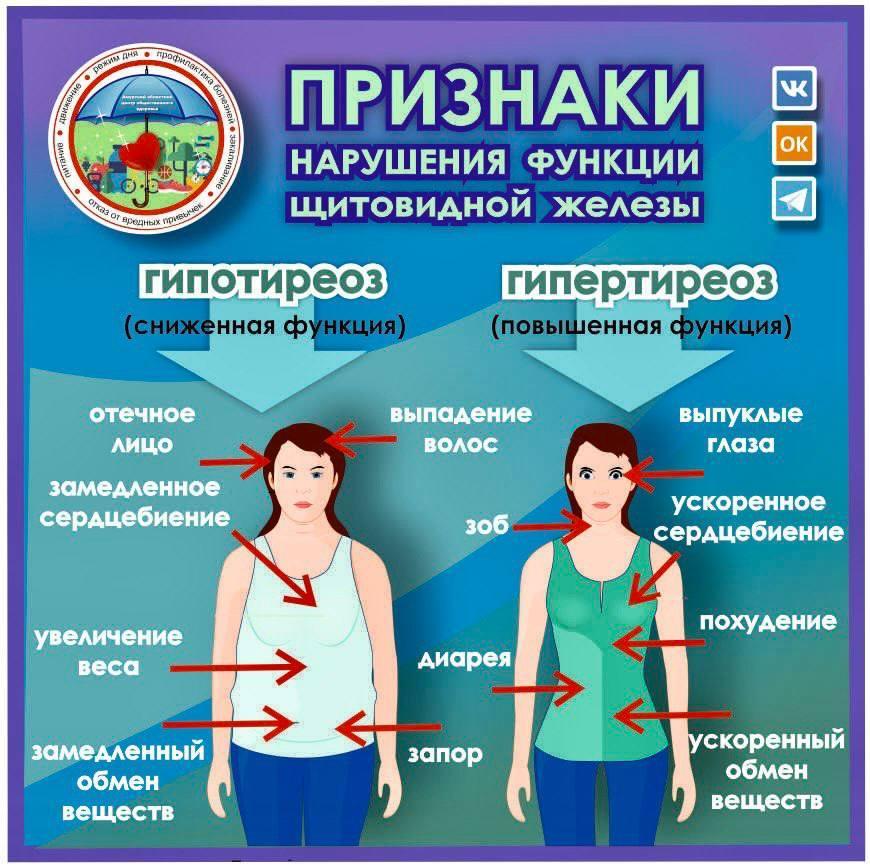 Что не так с брокколи, фасолью и семенами льна: отвечает эндокринолог