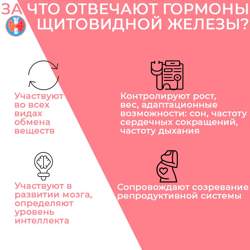 Что не так с брокколи, фасолью и семенами льна: отвечает эндокринолог