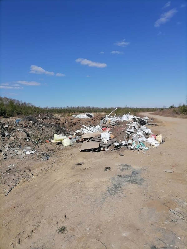 Наказали, но не убрали: благовещенские дачники не могут избавиться от несанкционированной свалки