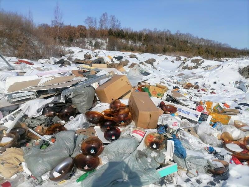 Наказали, но не убрали: благовещенские дачники не могут избавиться от несанкционированной свалки