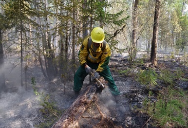 Фото: федеральная Авиалесоохрана