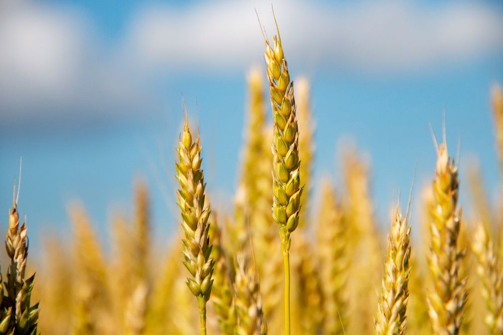 Отчет Василия Орлова о работе правительства в 2023 году