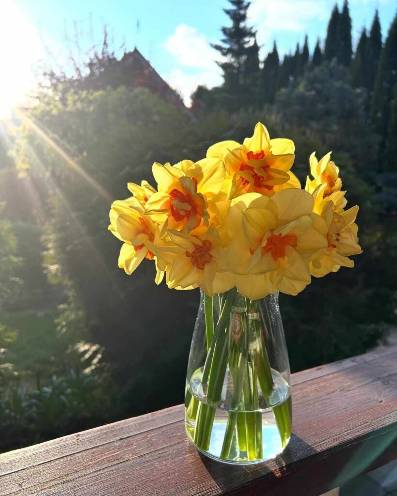 астрологический прогноз с 27 мая по 2 июня, гороскоп с 27 мая по 2 июня, астрология, гороскоп недели