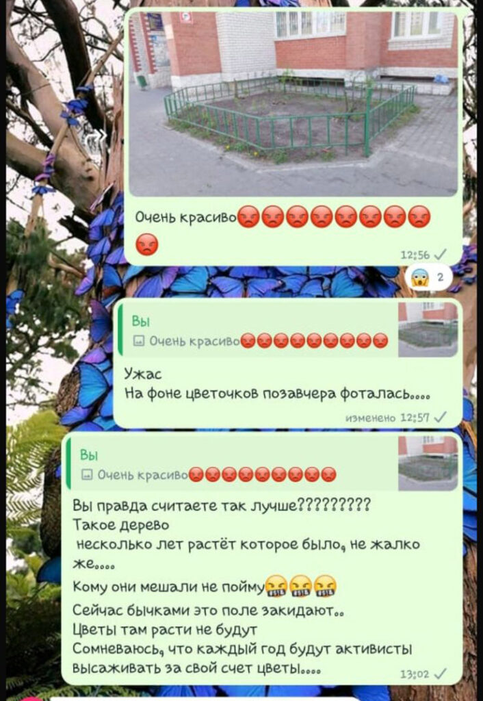 «Спилили под цветочки»: благовещенские пенсионерки объявили войну сакуре