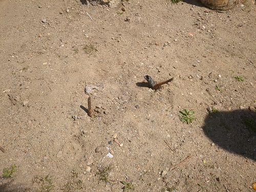 Торчат острые трубы: опасная детская площадка смутила жительницу Чигирей