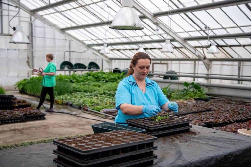 цветы, озеленение Благовещенска