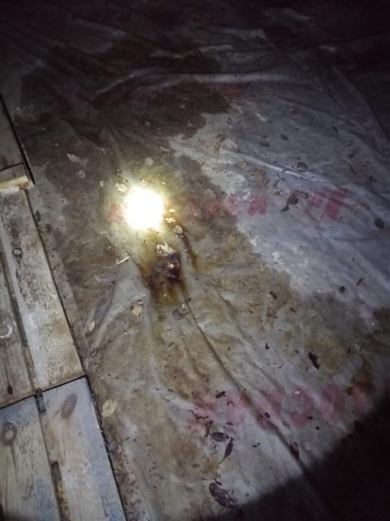 Придется платить дважды? В Зее пять лет топит многоквартирный дом