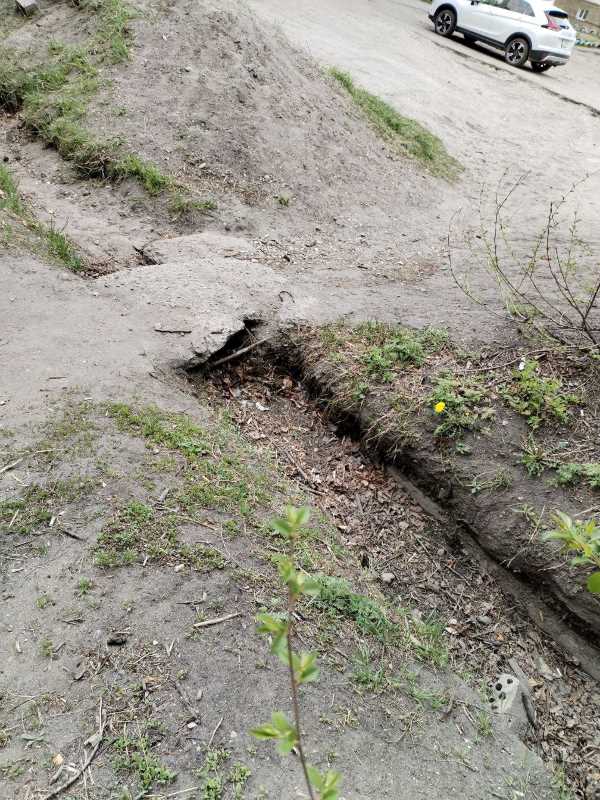 Амурской «управляйке» дали два месяца, чтобы исправиться