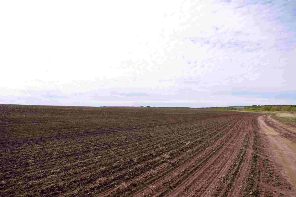 губернатор вышел в поля Приамурья
