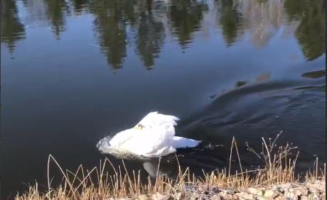 Фото: скриншот видео из телеграм-канала Валентины Ольшевской