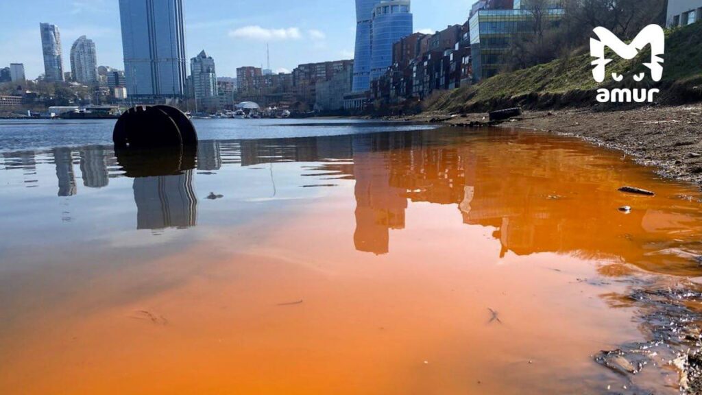 Море заржавело: берег Владивостока приобрел необычный окрас