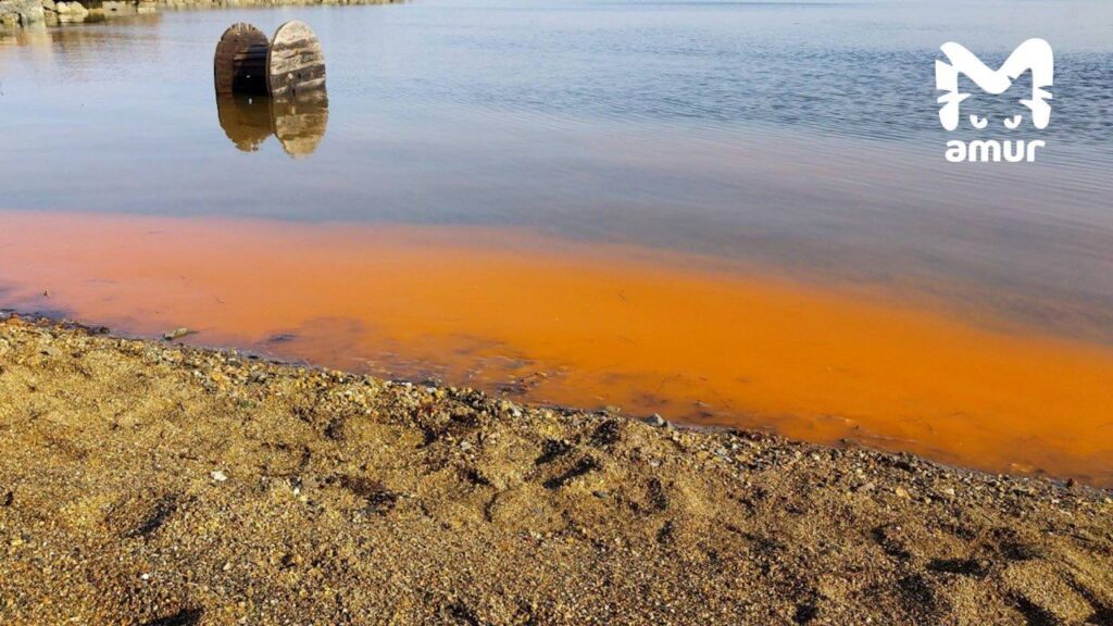 Море заржавело: берег Владивостока приобрел необычный окрас