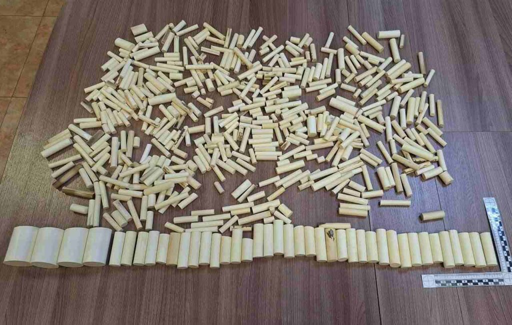 Фото: Дальневосточное таможенное управление