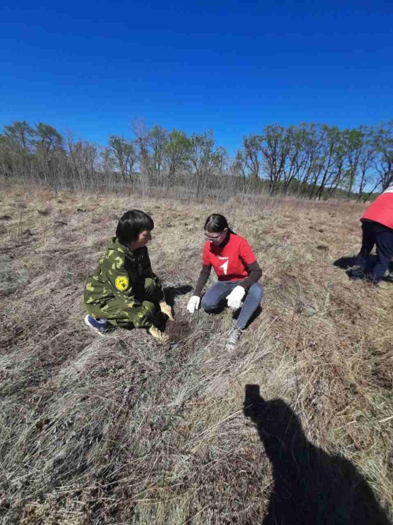 Посадка леса