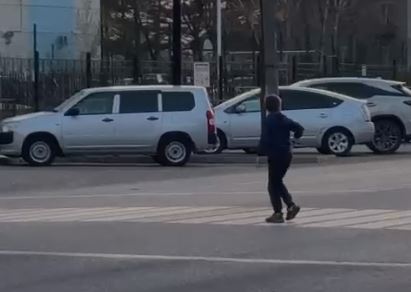 В Благовещенске стая бездомных собак напала на ребенка