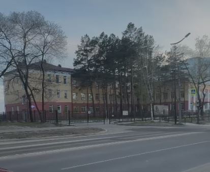 В Благовещенске стая бездомных собак напала на ребенка