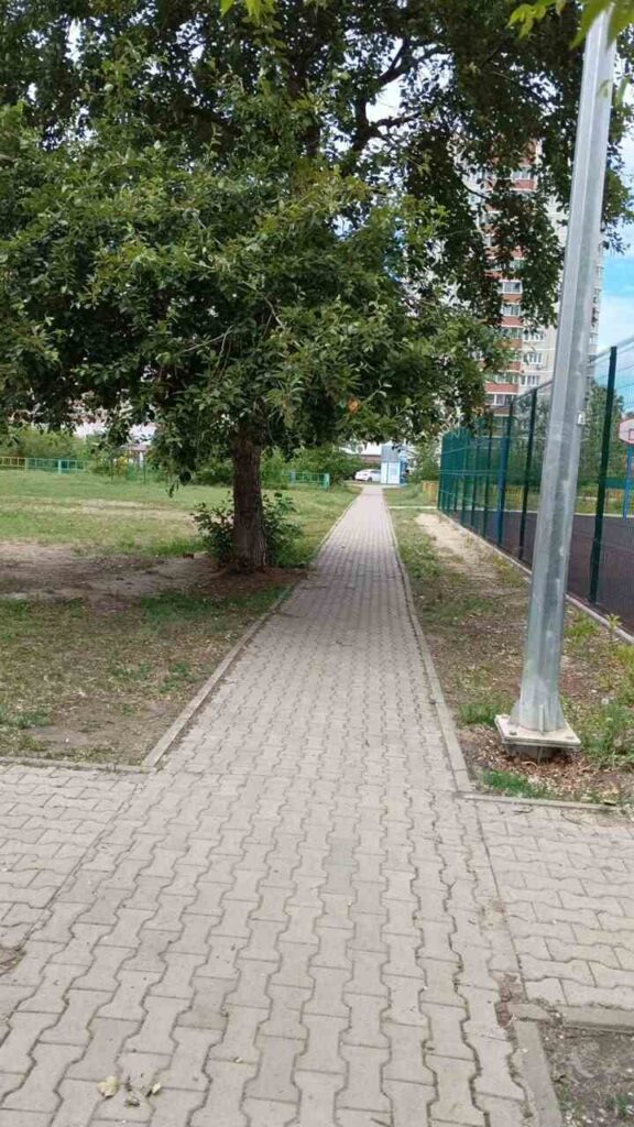 Нужно, как с фонтанами: благовещенка просит мэрию принять жёсткие меры