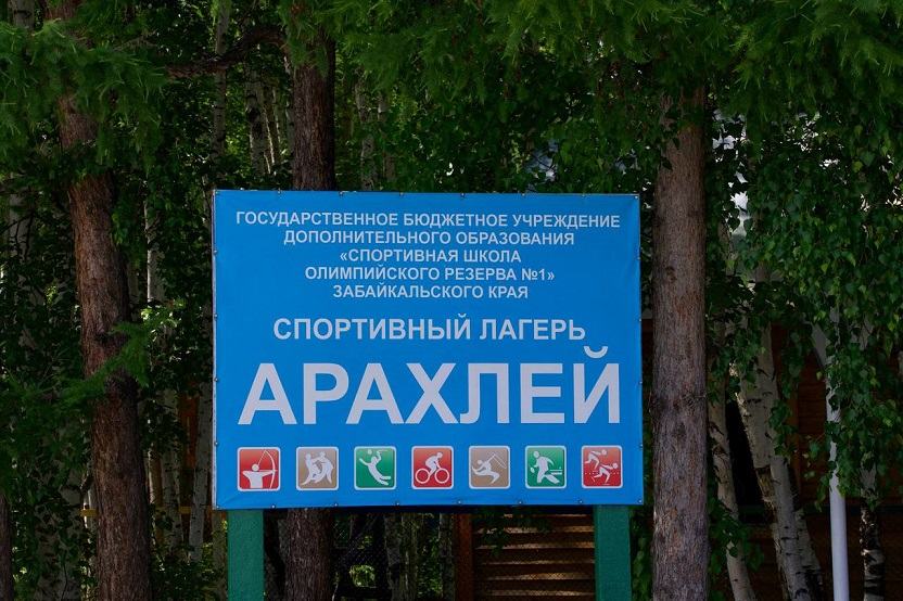 Стая собак искусала девятилетнего мальчика в детском лагере под Читой