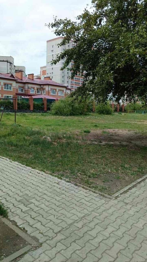 Нужно, как с фонтанами: благовещенка просит мэрию принять жёсткие меры