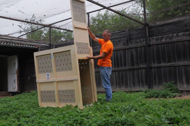 Журавлиха из резиденции Деда Мороза теперь будет жить в Приамурье