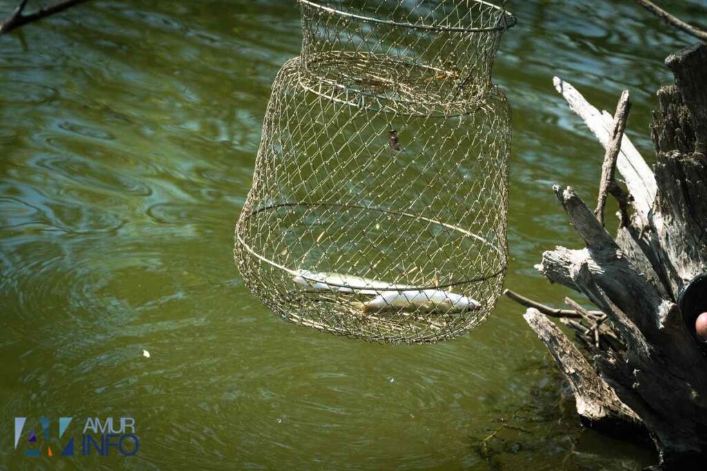 истории про рыбалку, курьёзы на рыбалке, истории рыбаков, смешные истории на рыбалке, байки рыбаков