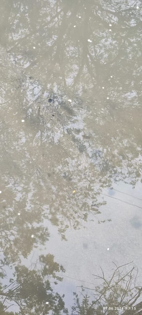 Грязная река