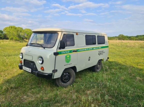 Конфликты между амурчанами и тиграми помогают решать «буханки»