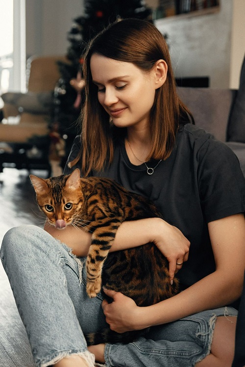 Вознаграждение 10 000 рублей: жительница Чигирей ищет любимого кота