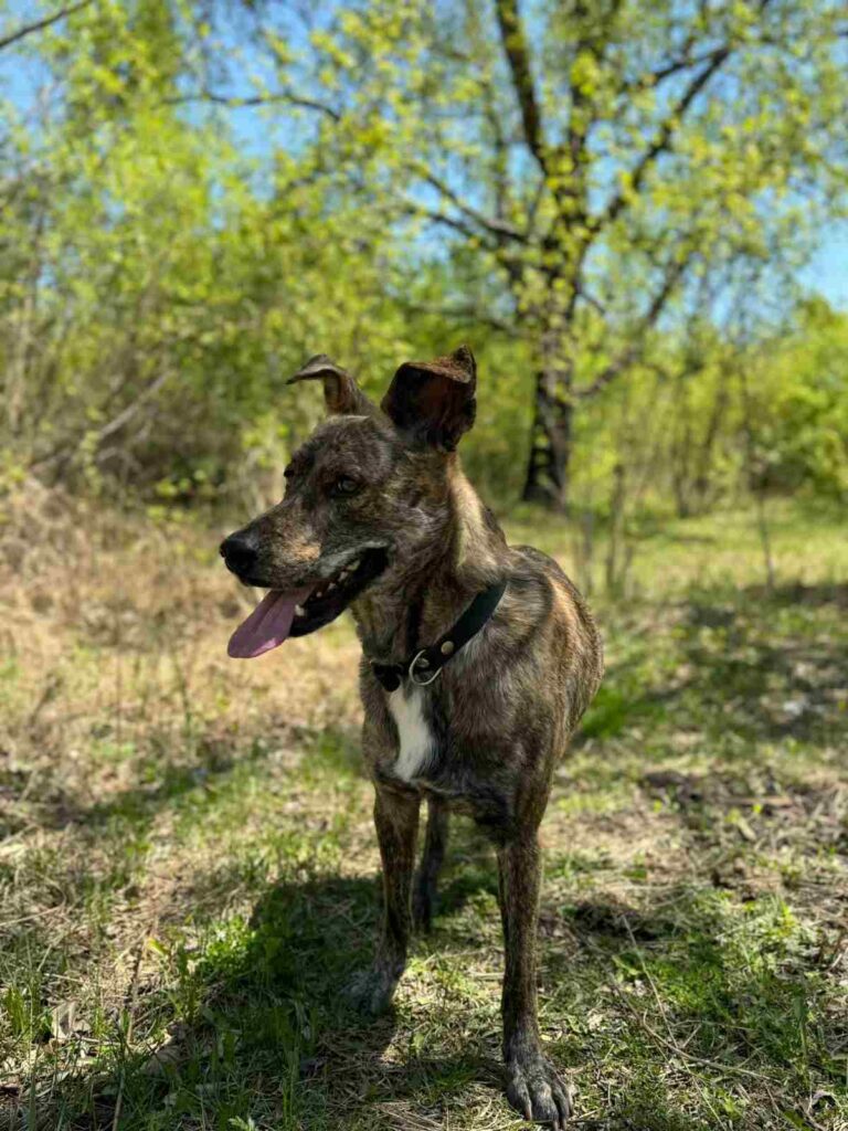 где отдохнуть в Благовещенске, пешие прогулки по Благовещенску, красивые места Благовещенска