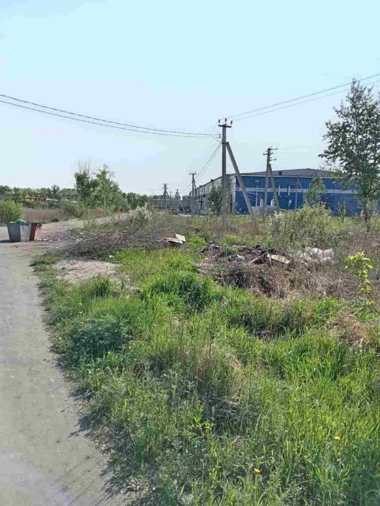 Амурчане встревожены судьбой озера