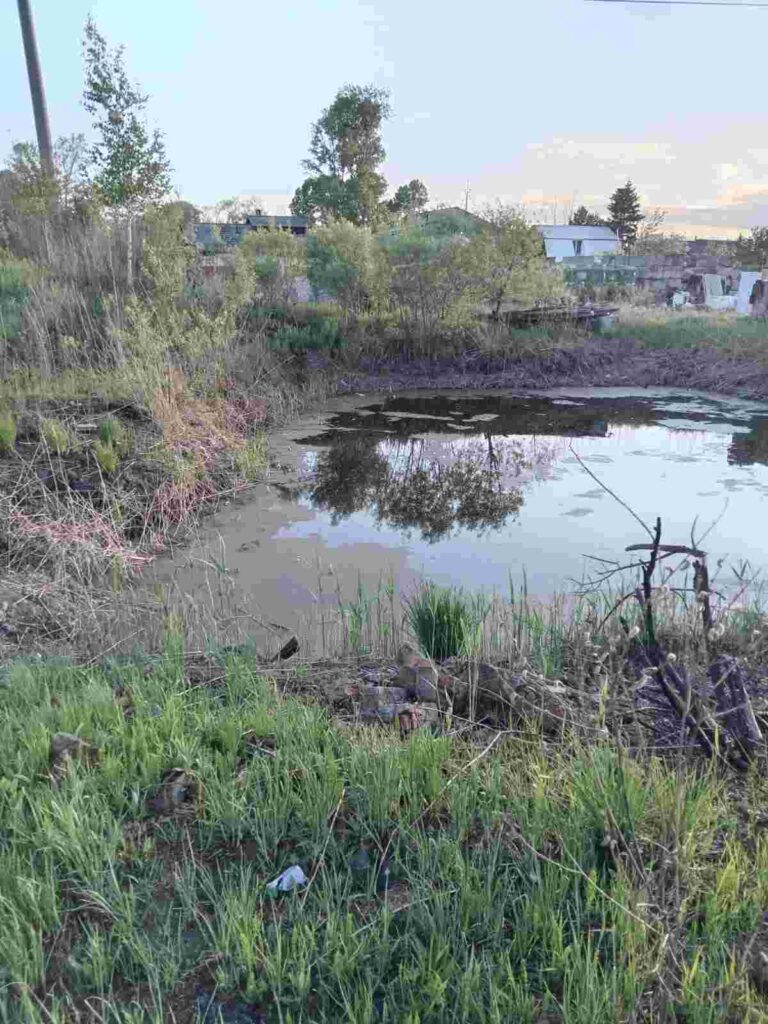 Амурчане встревожены судьбой озера