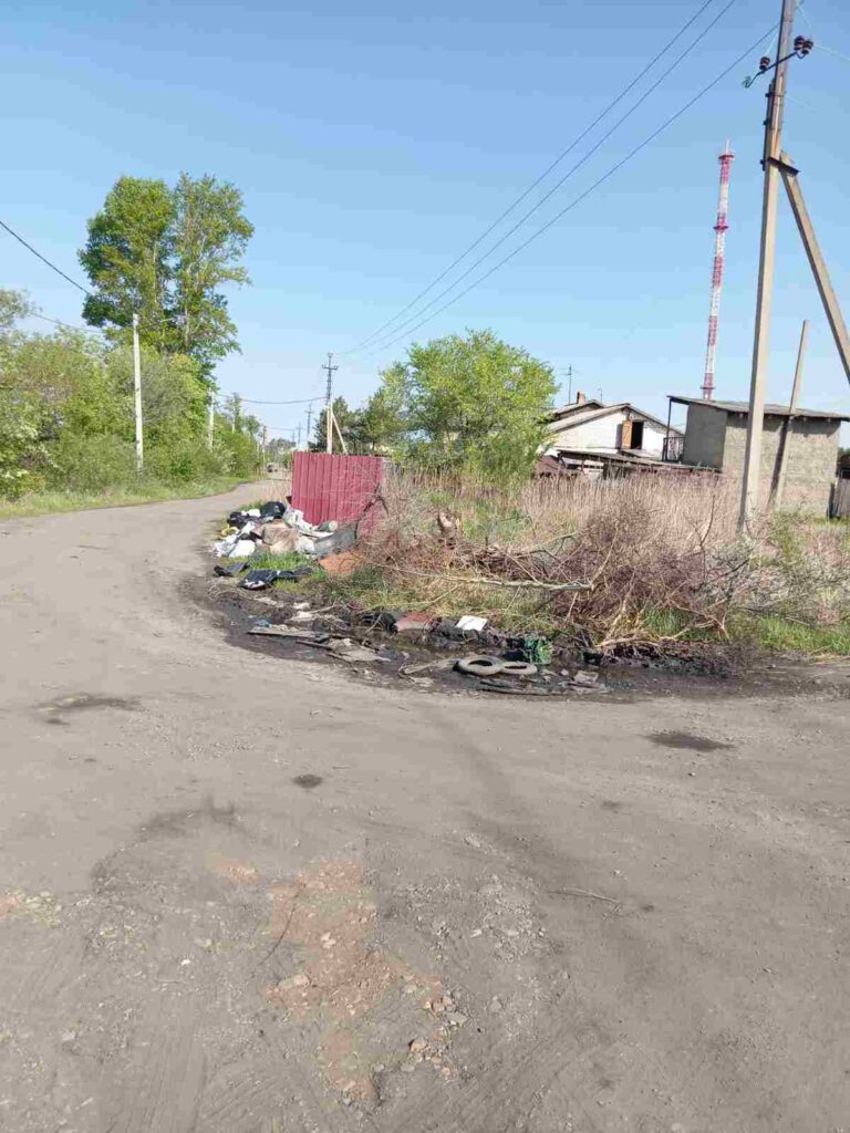 Амурчане встревожены судьбой озера